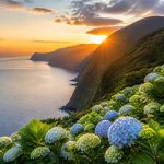 Acores madere : quelle destination choisir pour un voyage de noces inoubliable ?
